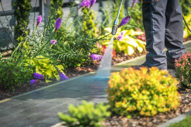 Best Patio and Deck Pressure Washing  in Tryon, NC