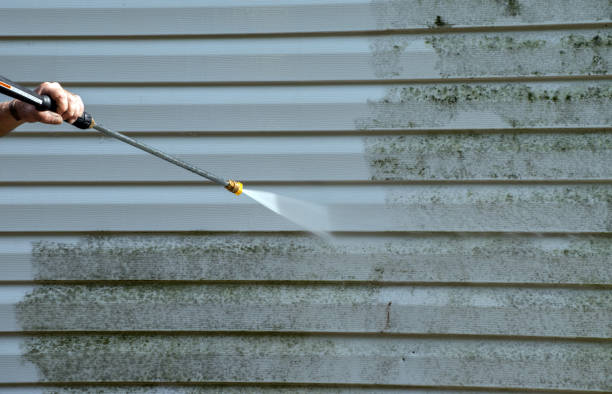 Best Sidewalk and Walkway Cleaning  in Tryon, NC